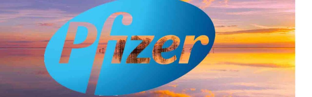 The History of Pfizer